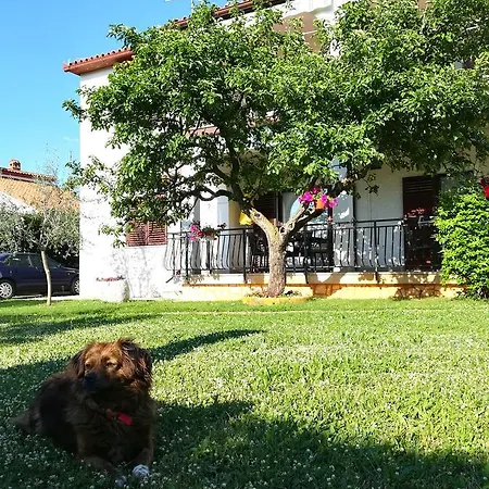 Nina *